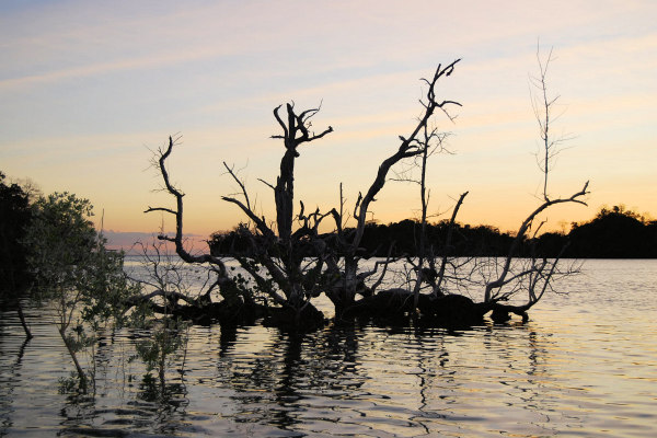 Madagascar, Moramba bay, catamaran cruise