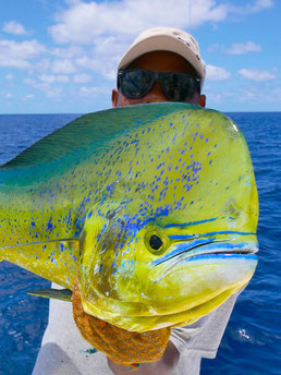 La pêche aux gros aux Seychelles